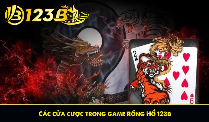 Rồng hổ 123B - Hướng dẫn hiểu luật chơi và mẹo chơi hiệu quả 11 Các cửa cược trong game Rồng Hổ 123b