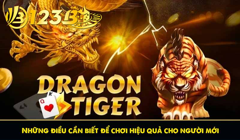 Rồng hổ 123B - Hướng dẫn hiểu luật chơi và mẹo chơi hiệu quả 15 Những điều cần biết để chơi hiệu quả cho người mới